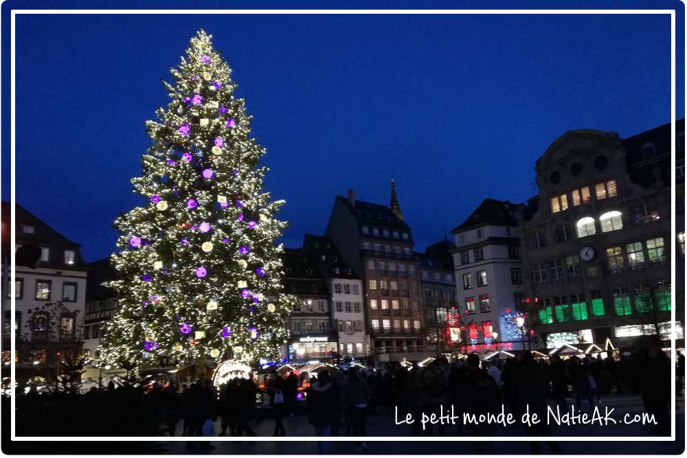 Découvrir Strasbourg en hiver Grand sapin de Noël