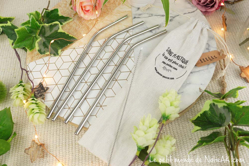 paille en inox avis Objectif zéro plastique paille en inox Pousse Pousse zéro déchet