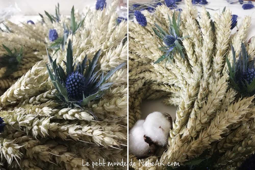 Chardon séché bleu