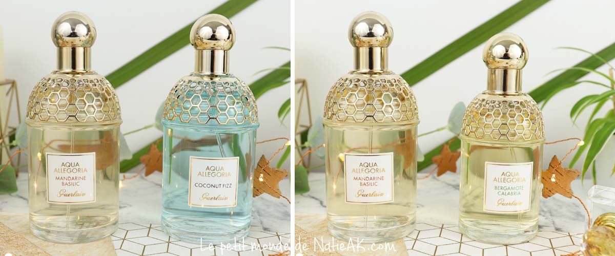 aqua allegoria bergamote albria