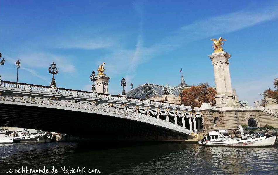 croisière en bateau mouche sur la seine