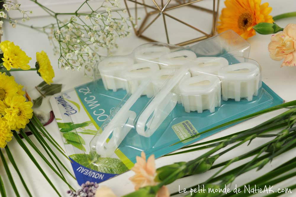 bloc WC menthe eucalyptus