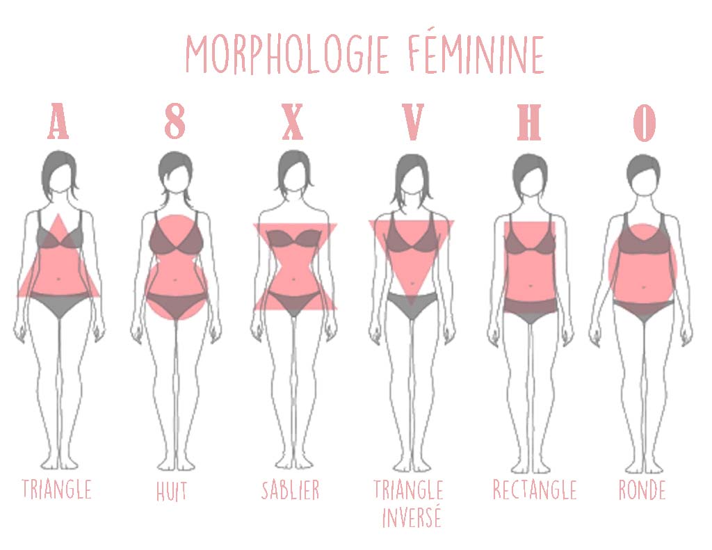 connaître sa morphologie