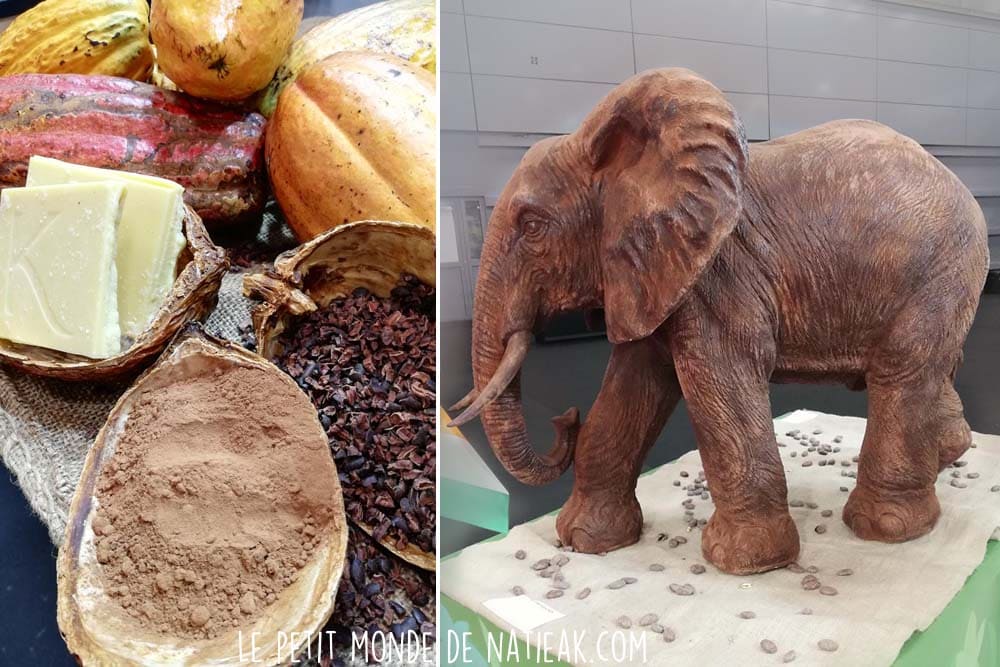 feve de cacao salon du chocolat édition 26