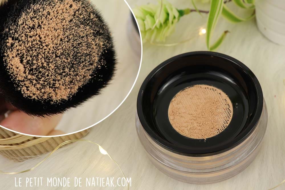 T.Leclerc Poudres libres poudre libre numéro 10 