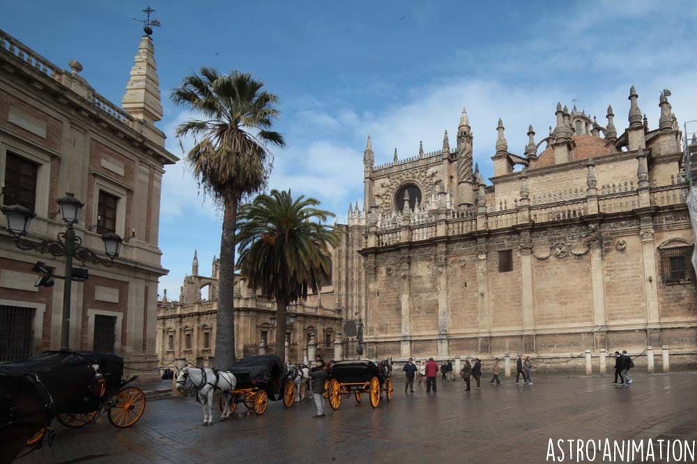 Visite Culturelle Catedral de Sevilla