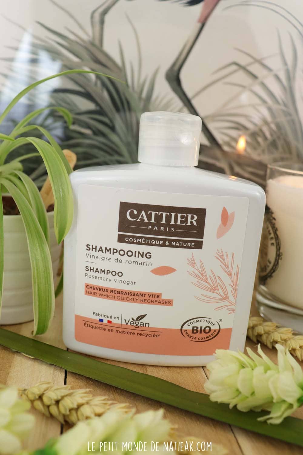 cattier shampoing bio cheveux gras