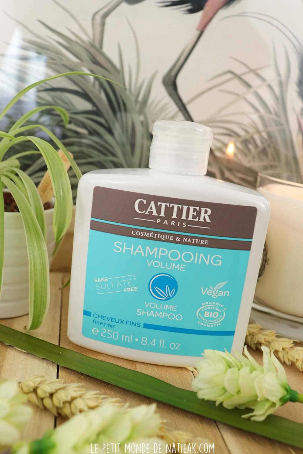 Soins Bio shampoing volume cattier