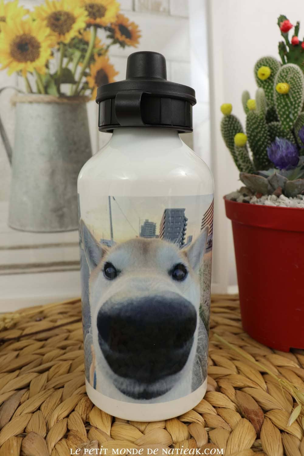 gourde personnalisée photoweb