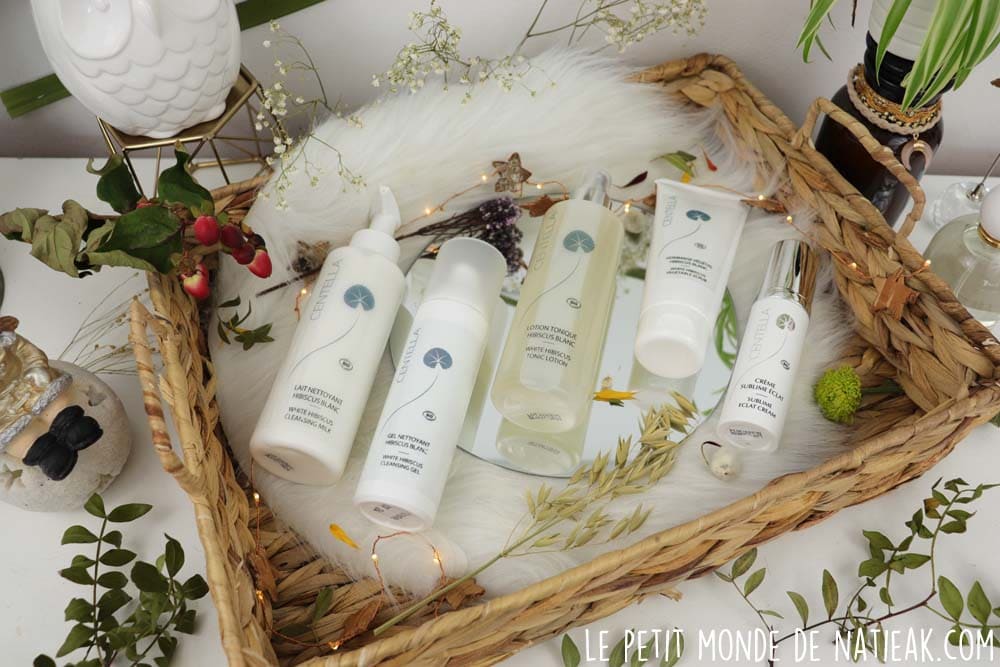 comment se débarrasser des impuretés du visage ?