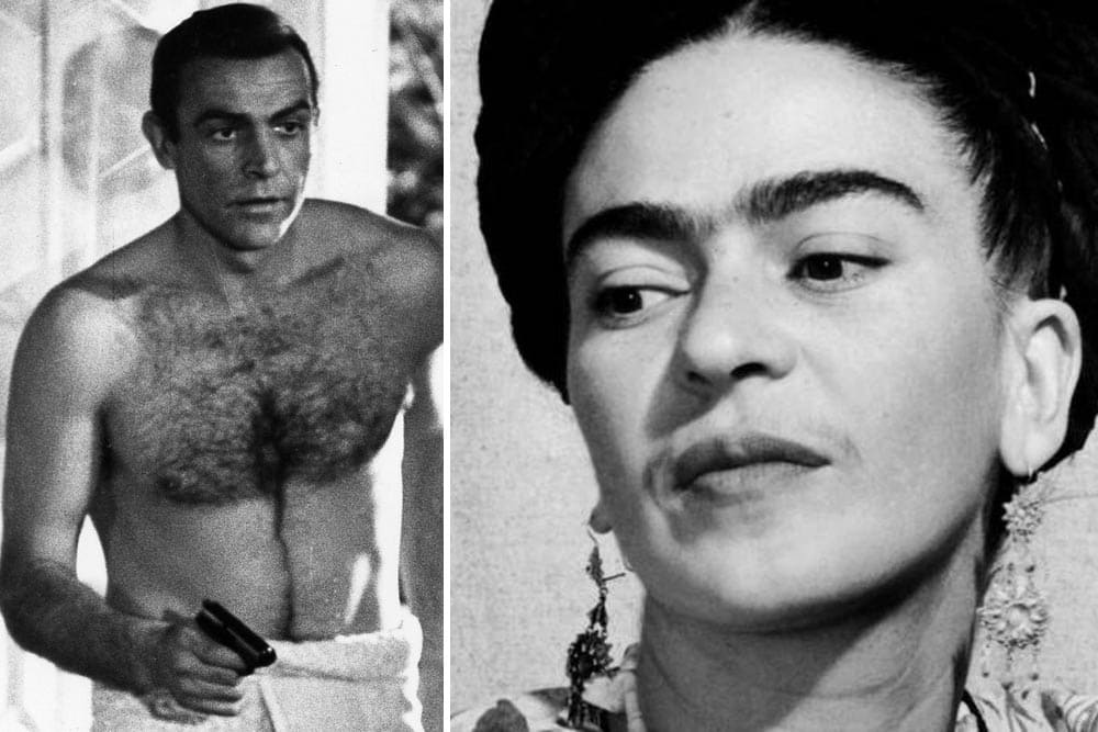 mono sourcils de Frida Kahlo