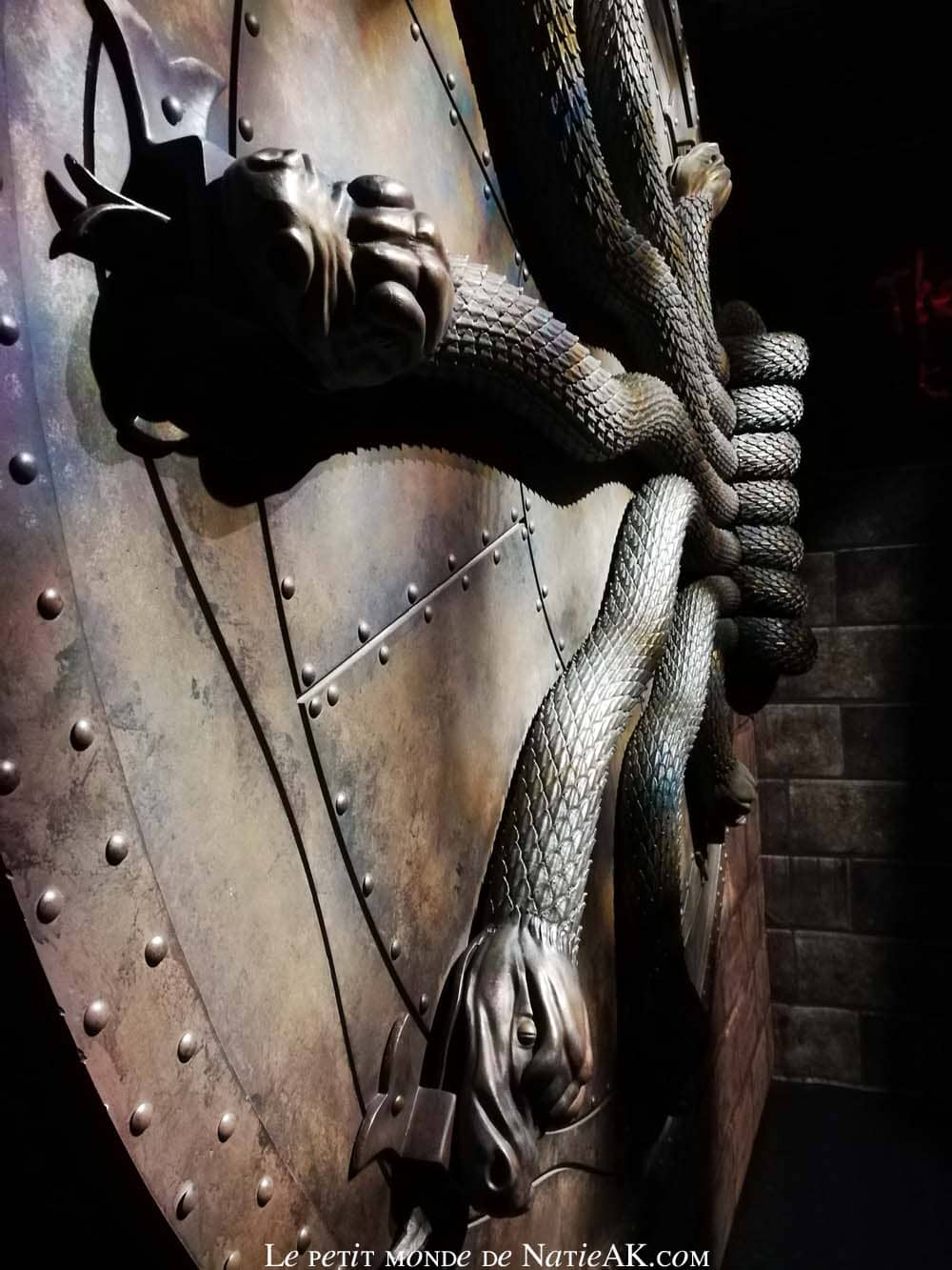 Voir en vrai la porte de la chambre des secrets 