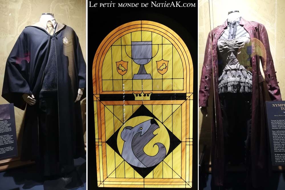 maison Poufsouffle école Poudlard Expo Harry Potter 2023 Paris