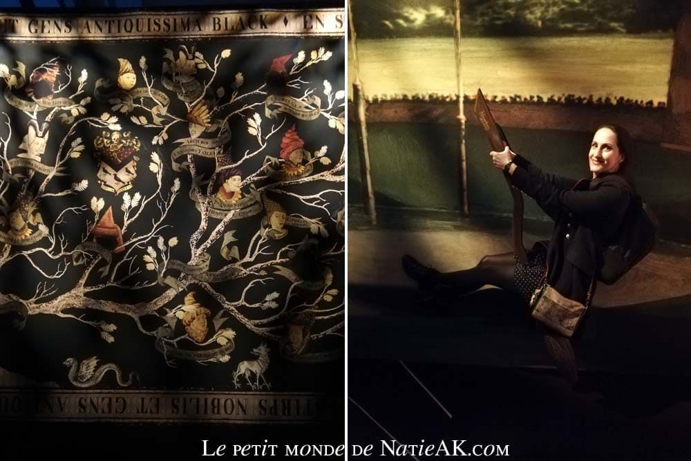 Tapisserie de la famille Black (expo Harry Potter Paris)