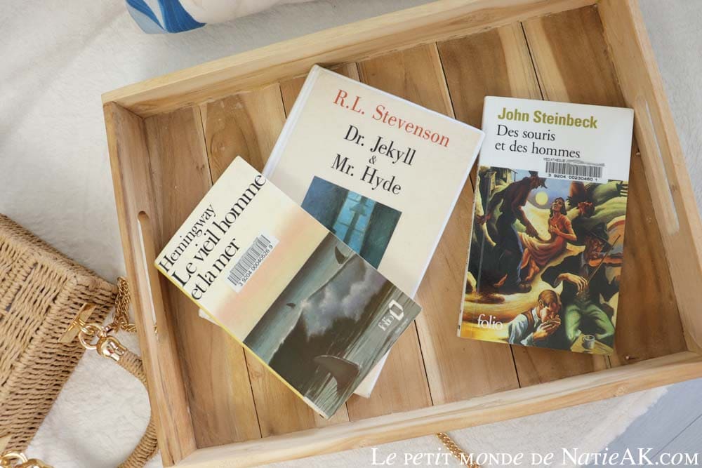 Comment se cultiver à l'âge adulte rapidement ?Quels livres pour enrichir ses connaissances littéraires ?