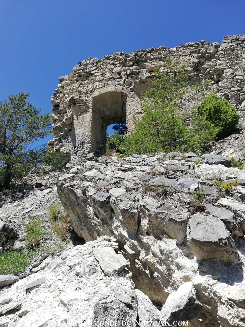 Faune et flore du massif de la Vanoisevfort de l'Esseillon Charle Félix