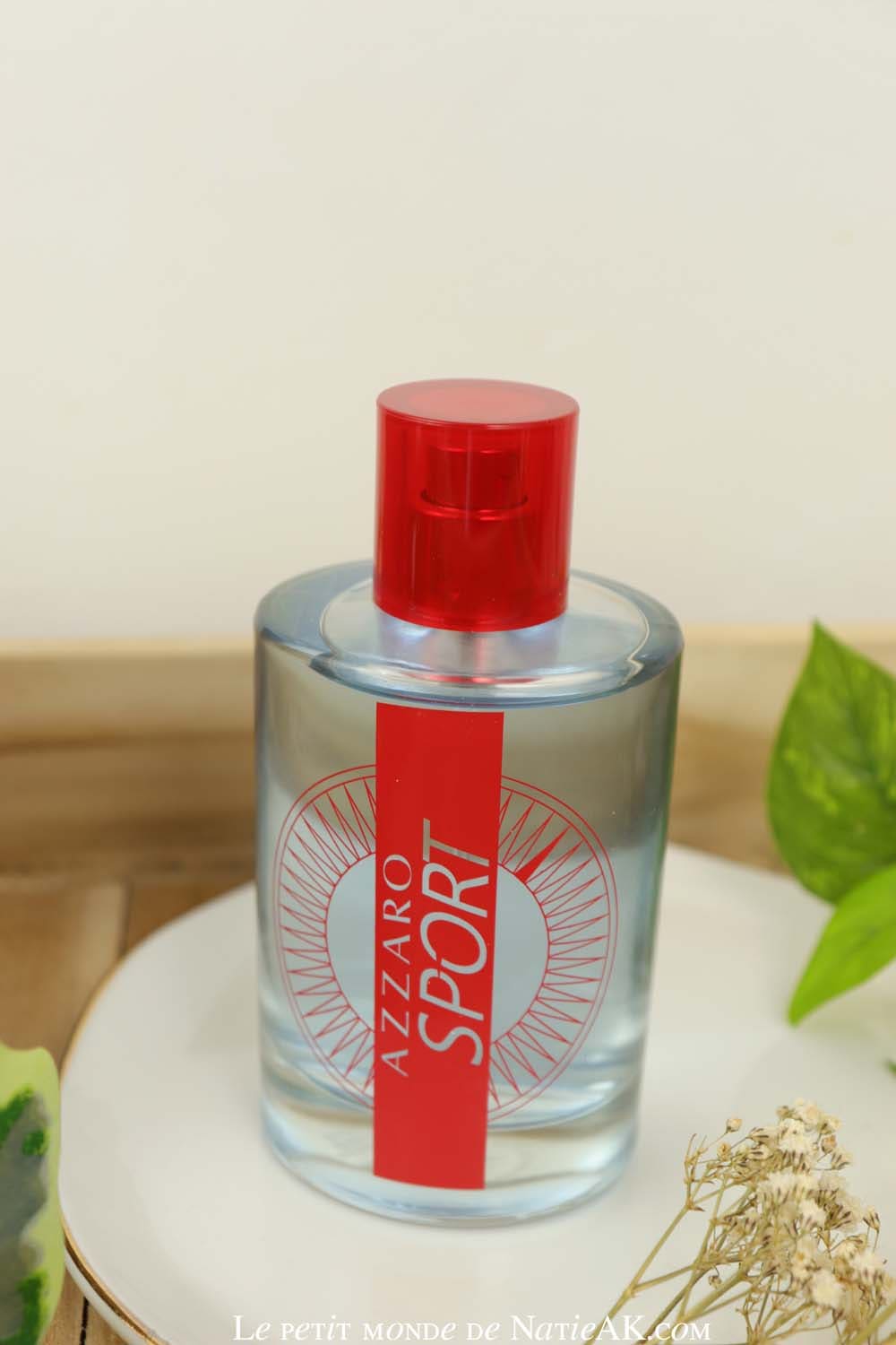 Quel parfum offrir à un jeune adulte ? Azzaro Sport Eau de Toilette