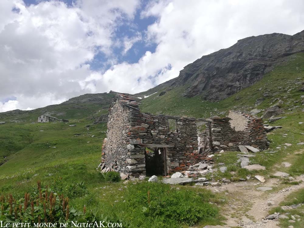 Faune et flore du massif de la Vanoisev Parc national de la Vanoise, Savoie