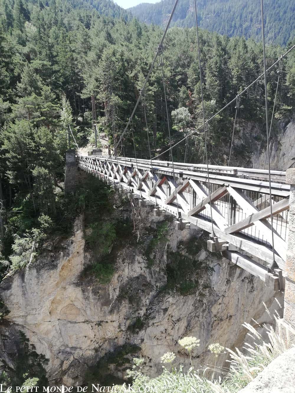Faune et flore du massif de la Vanoise Pont du Diable à Aussois, Savoie