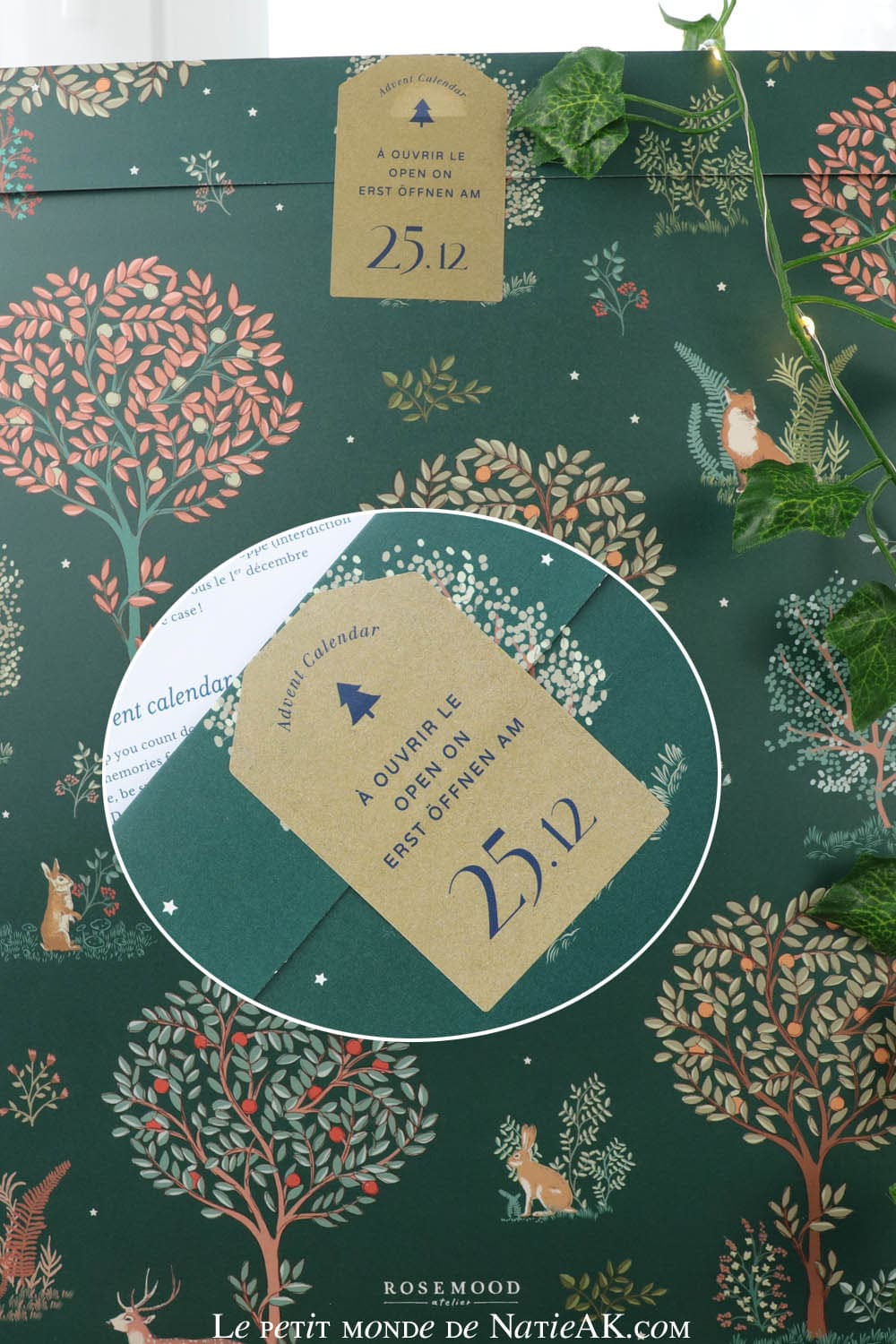 calendrier de l'avent avec photo Rosemood avis