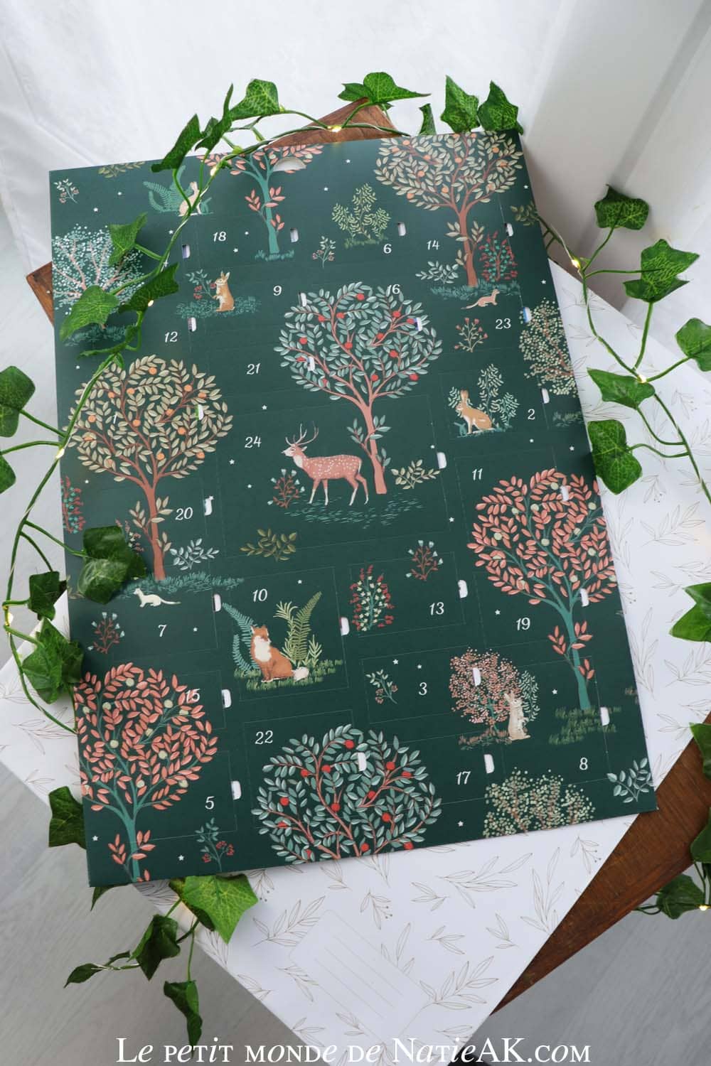 rosemood calendrier de l'avent