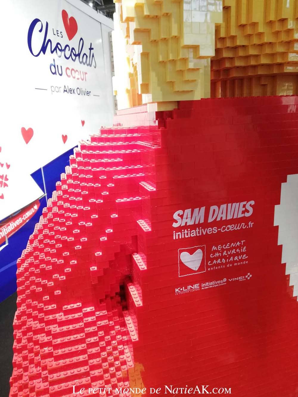 idées gourmandes pour des fêtes éthiques sculpture en légo Mécénat Chirurgie Cardiaque Salon du chocolat