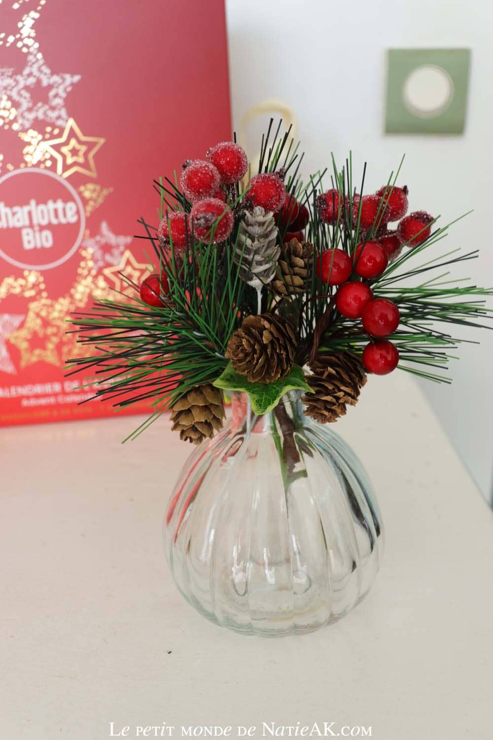 Réaliser facilement des décorations de Noël DIY crééer avec les enfants une belle tale de Noël