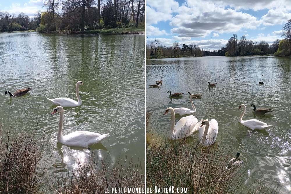 Lac Daumesnil Vincennes Paris