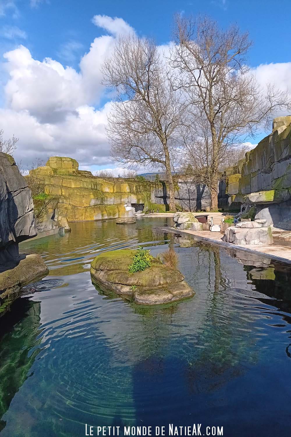 Idée de sortie : Parc zoologique enclos aquatique