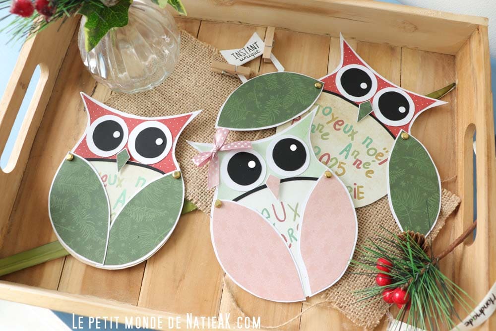 jolie carte Hibou pour fêter un événement