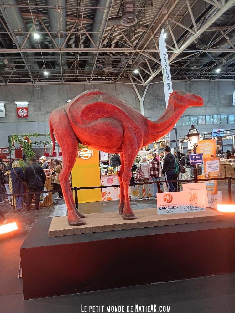 sculpture en chocolat Dromadaire designer Budour Al Aqidi