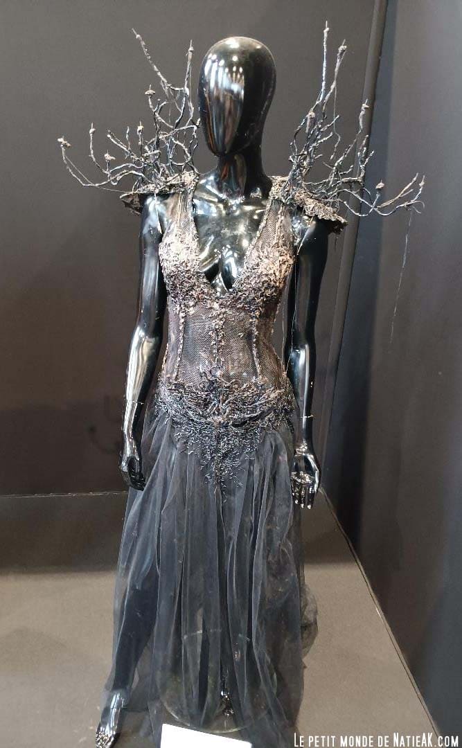 Robe en chocolat Gaël Clavière et Jérôme Blin