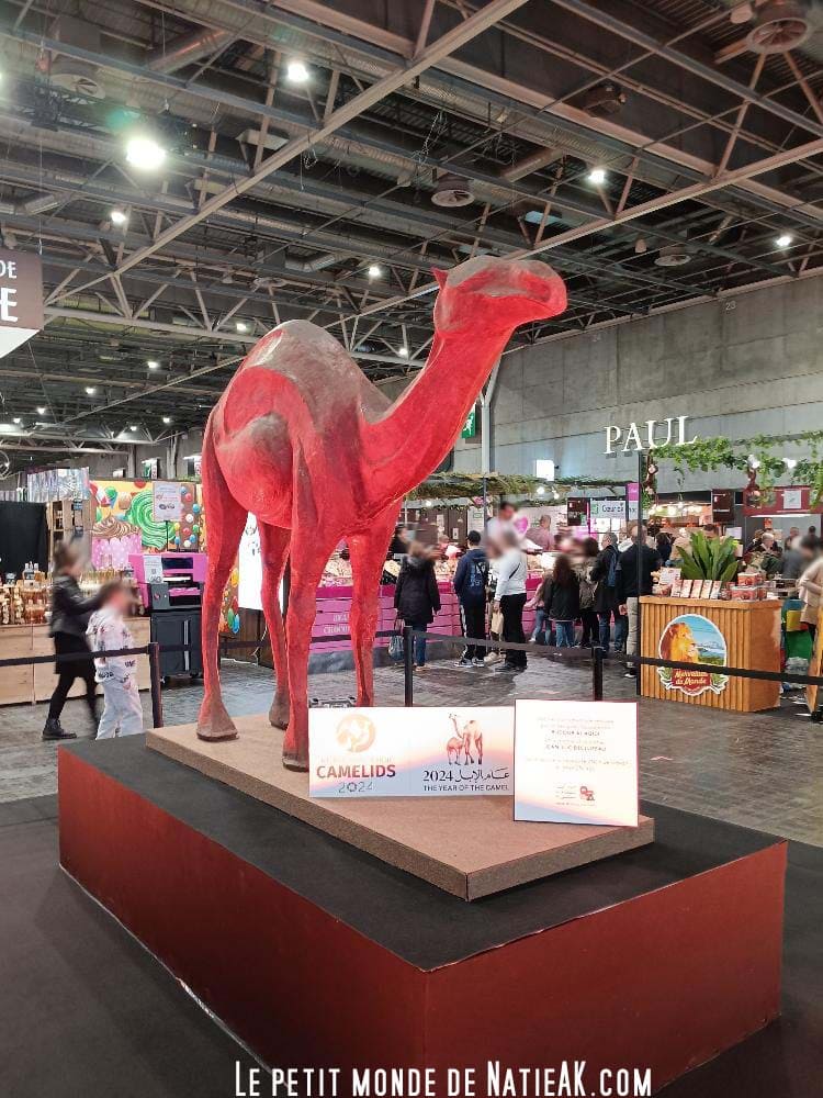 sculpture en chocolat Dromadaire de Jean-Luc Decluzeau