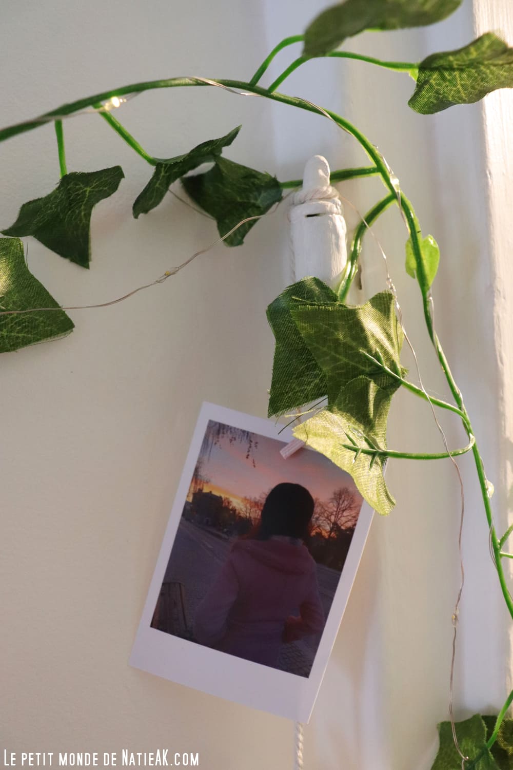 cadre photo avec corde et guirlande de lierre