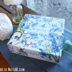 Biotyfull box Janvier 2026 avis