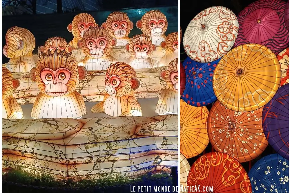 Les macaques des sources chaudes au Japon