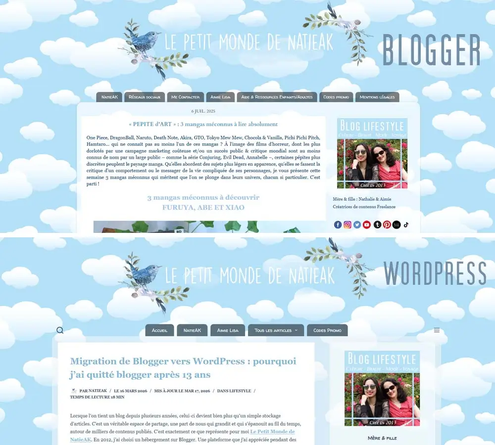identité visuelle Blogger/ WordPress