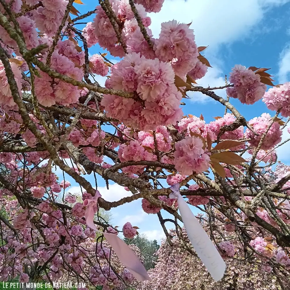 spectacle Hanami 2026 Ile de France